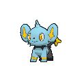 shinx type|Serebii.net Pokédex .